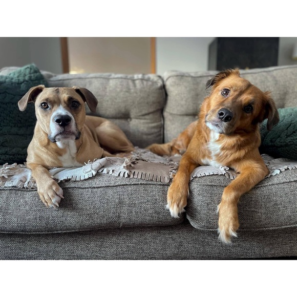 Tops - Meet Your Posher 👋🤗